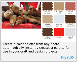 Color Palette Generator: Automatically create a color palette from any photo for your craft and design projects