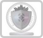 Old Skool Badge
